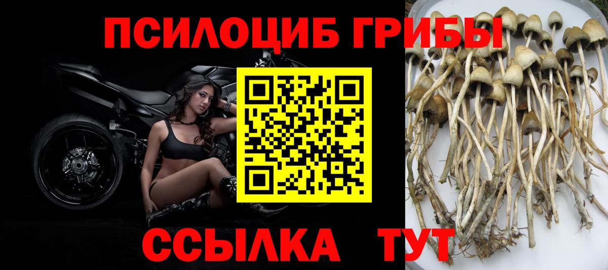 Галлюциногенные грибы прущие грибы Спасск-Дальний